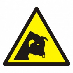 GDW 034 Ostrzeżenie przed bykiem